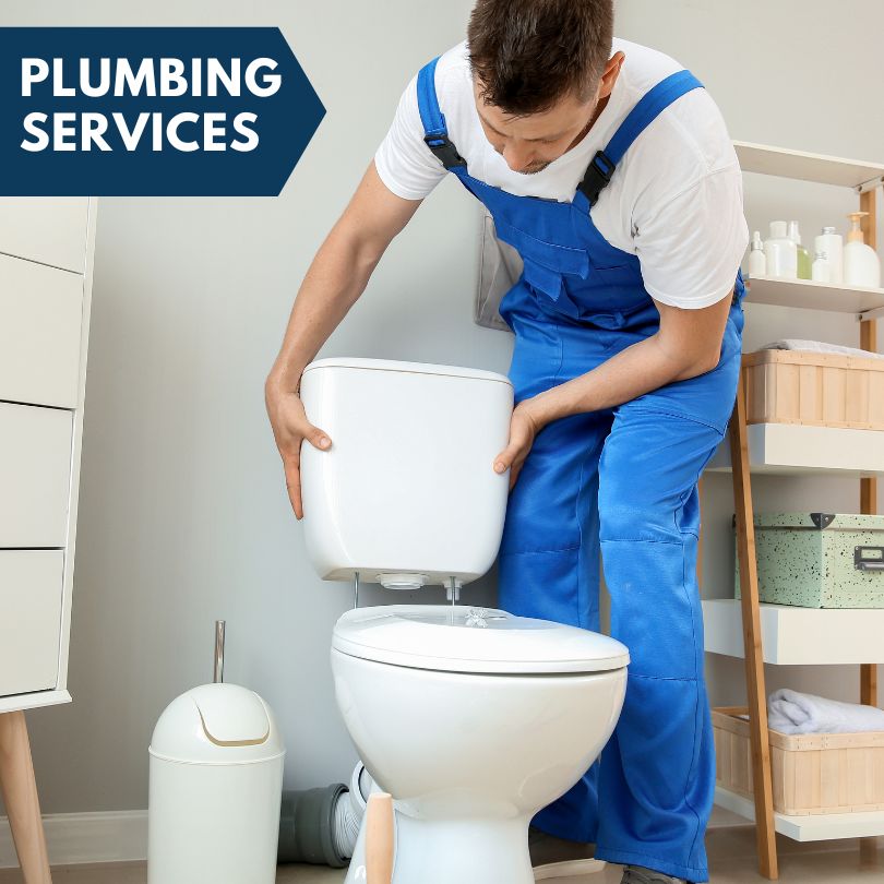 Plumbing Company in Dalbo, MN